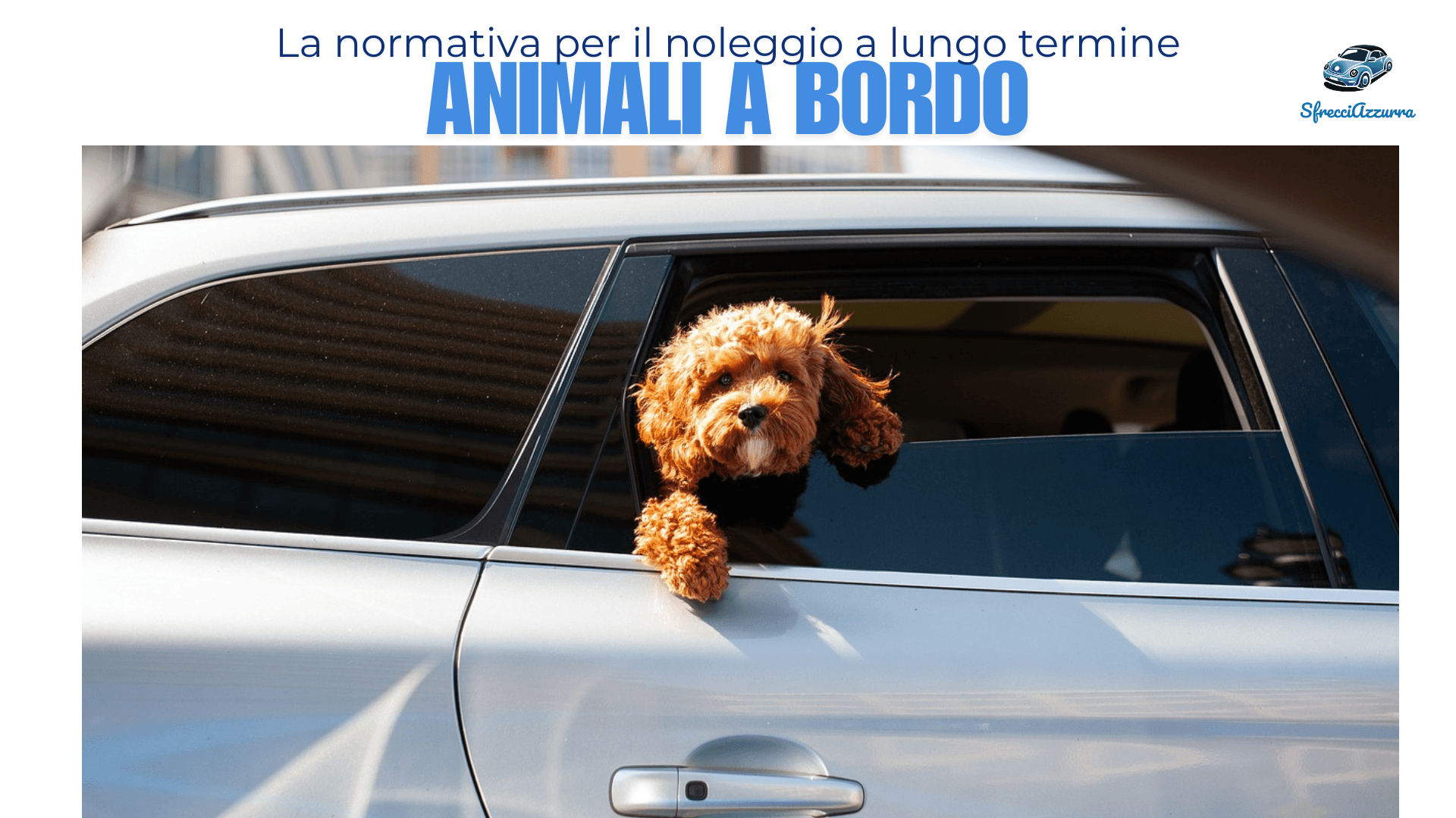 Anche gli animali viaggiano in auto a noleggio – Le regole